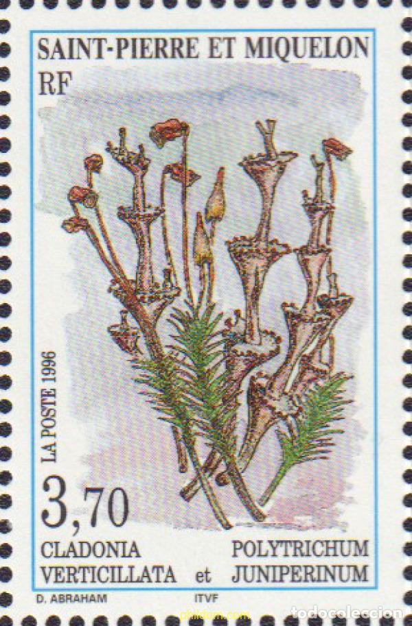 Sellos: 93196 MNH SAN PEDRO Y MIQUELON 1996 MUSGOS Y LIQUENES