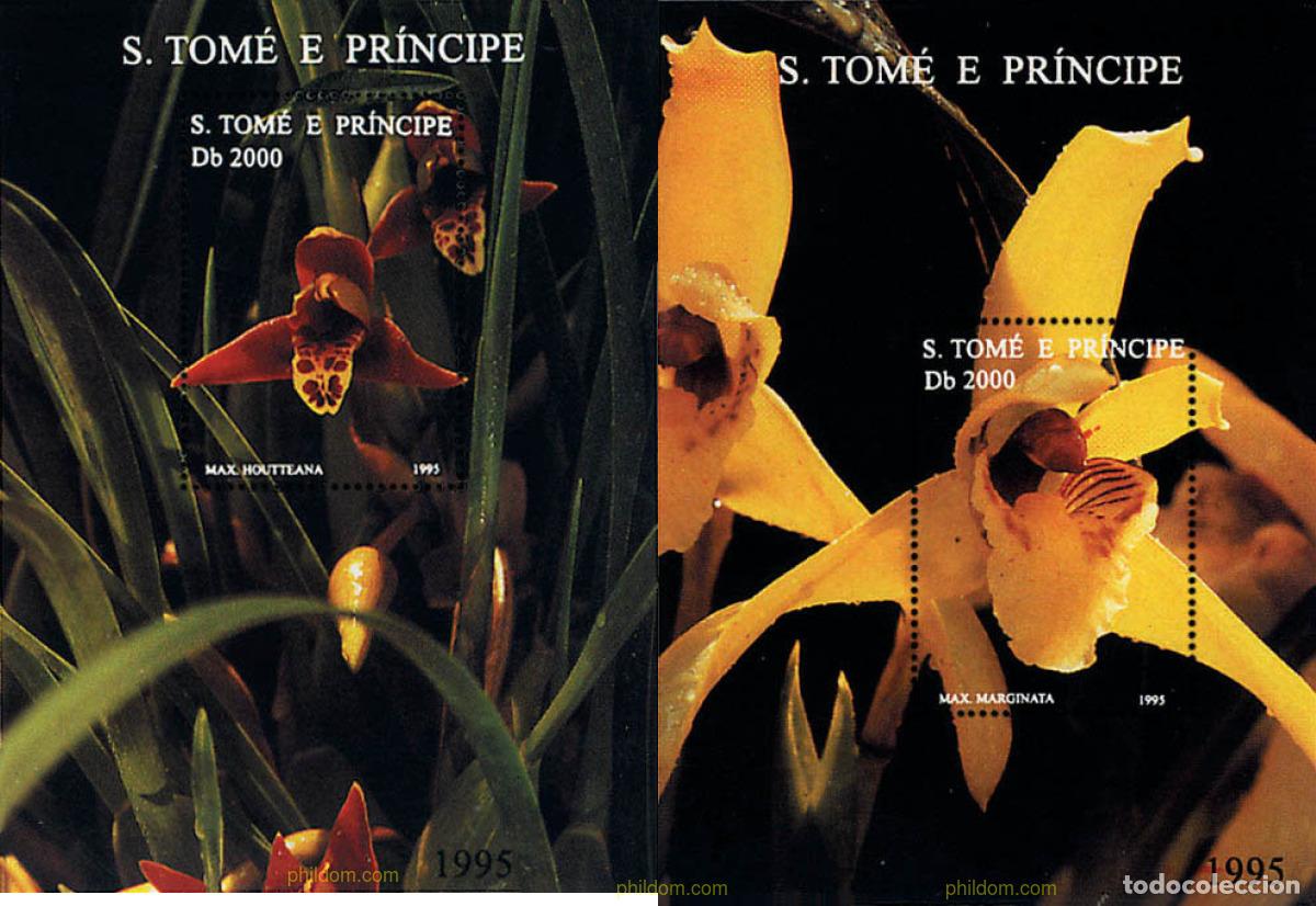 Sellos: 93312 MNH SANTO TOME Y PRINCIPE 1995 FLORES