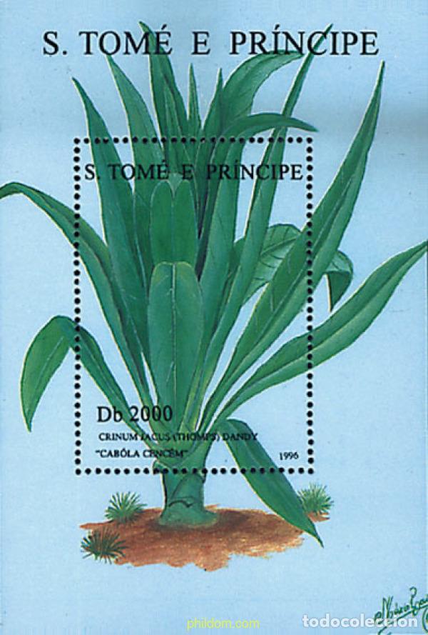 Sellos: 375723 MNH SANTO TOME Y PRINCIPE 1996 ORQUIDEAS Y PLANTAS MEDICINALES