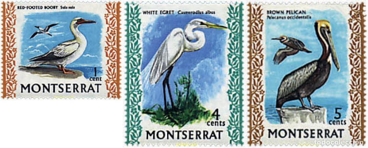 Sellos: 345549 MNH MONTSERRAT 1970 AVES