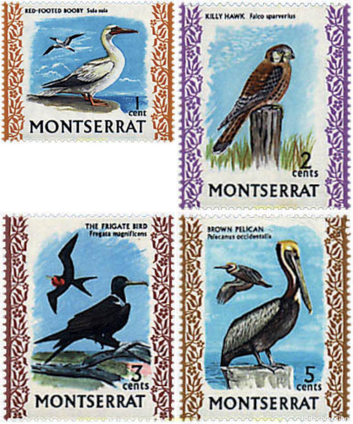 Sellos: 688674 MNH MONTSERRAT 1970 AVES