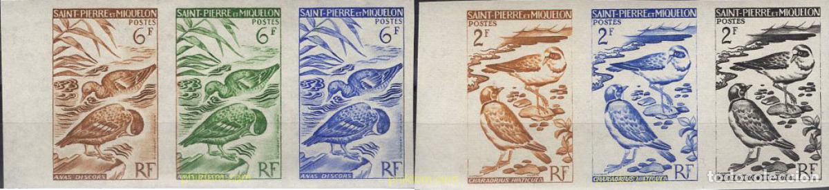 Sellos: 674613 MNH SAN PEDRO Y MIQUELON 1963 AVES