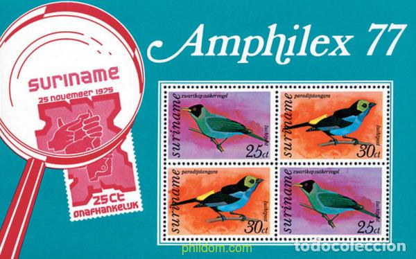 Sellos: 364975 MNH SURINAM 1977 AVES DE SURINAM