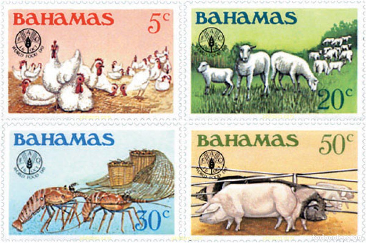 Sellos: 47450 MNH BAHAMAS 1981 DIA MUNDIAL DE LA ALIMENTACION