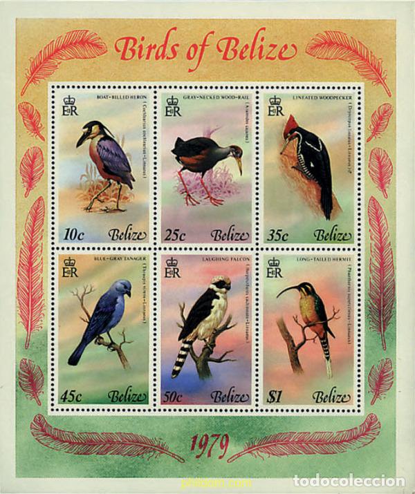 Sellos: 36156 MNH BELIZE 1979 PAJAROS DE BELIZE