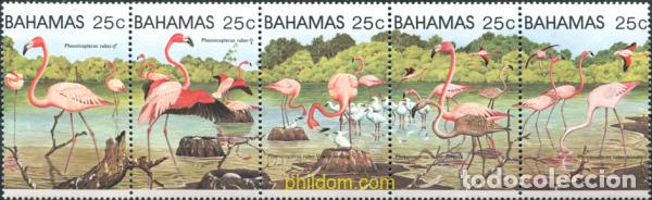Sellos: 163514 MNH BAHAMAS 1982 FLAMENCOS ROSADOS
