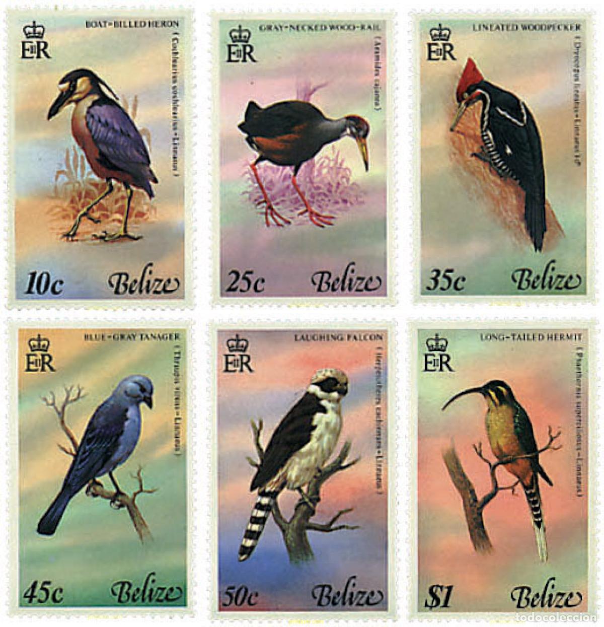 Sellos: 33277 MNH BELIZE 1979 PAJAROS DE BELIZE