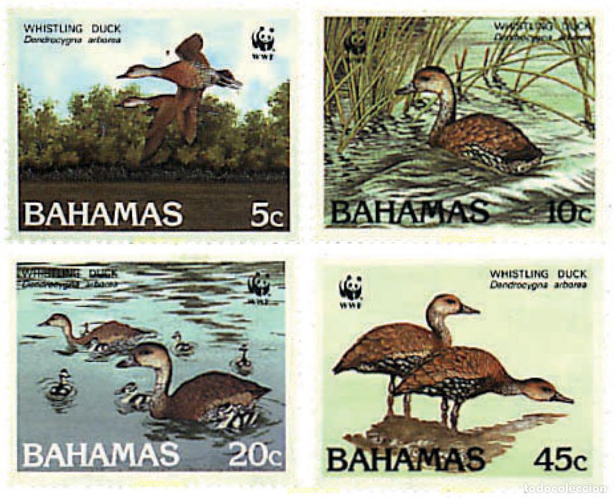 Sellos: 74076 MNH BAHAMAS 1988 YAGUSA DE PICO NEGRO
