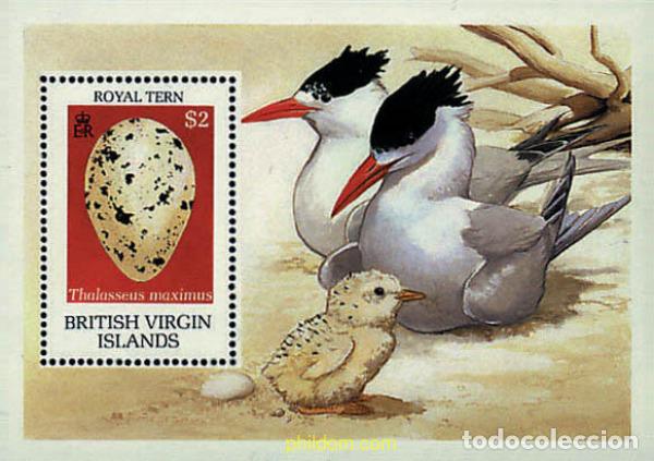 Sellos: 294413 MNH VIRGENES BRITANICAS Islas 1990 AVES