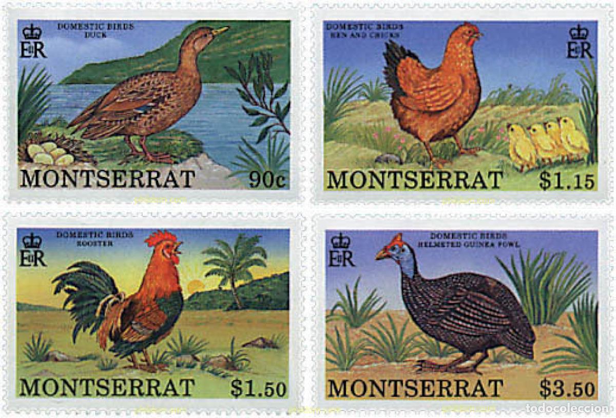 Sellos: 34129 MNH MONTSERRAT 1991 AVES DE CORRAL