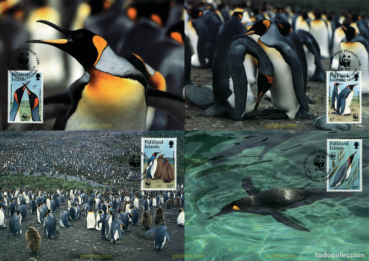 Sellos: 7365 MNH FALKLAND 1991 PINGUINO REY