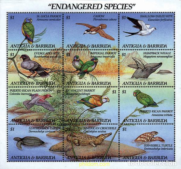 Sellos: 281909 MNH ANTIGUA Y BARBUDA 1993 ESPECIES EN PELIGRO DE EXTINCION
