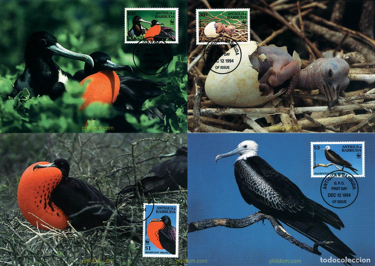 Sellos: 7390 MNH ANTIGUA Y BARBUDA 1994 FAUNA PROTEGIDA. FRAGATA