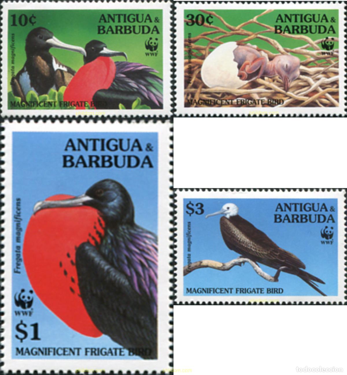 Sellos: 83551 MNH ANTIGUA Y BARBUDA 1994 FAUNA PROTEGIDA. FRAGATA