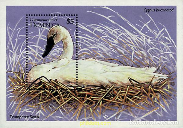 Sellos: 306883 MNH DOMINICA 1995 AVES ACUATICAS