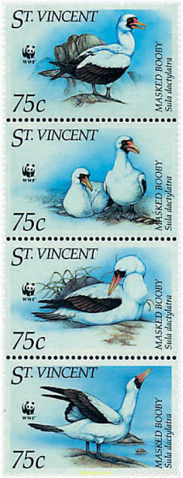 Sellos: 5242 MNH SAN VICENTE 1995 PIQUERO BLANCO