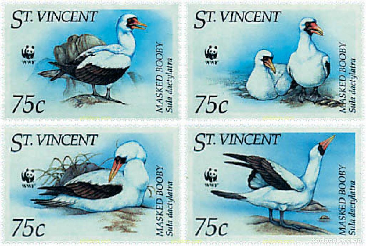 Sellos: 74138 MNH SAN VICENTE 1995 PIQUERO BLANCO