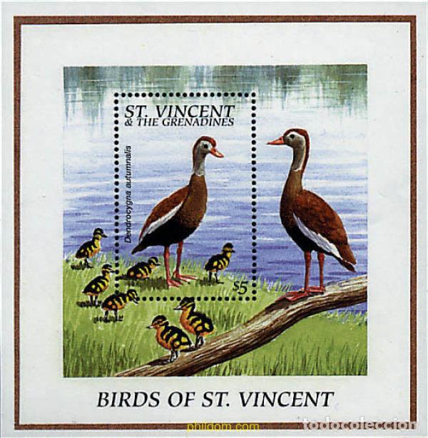 Briefmarken: 244751 MNH SAN VICENTE 1996 PAJAROS DE SAN VICENTE