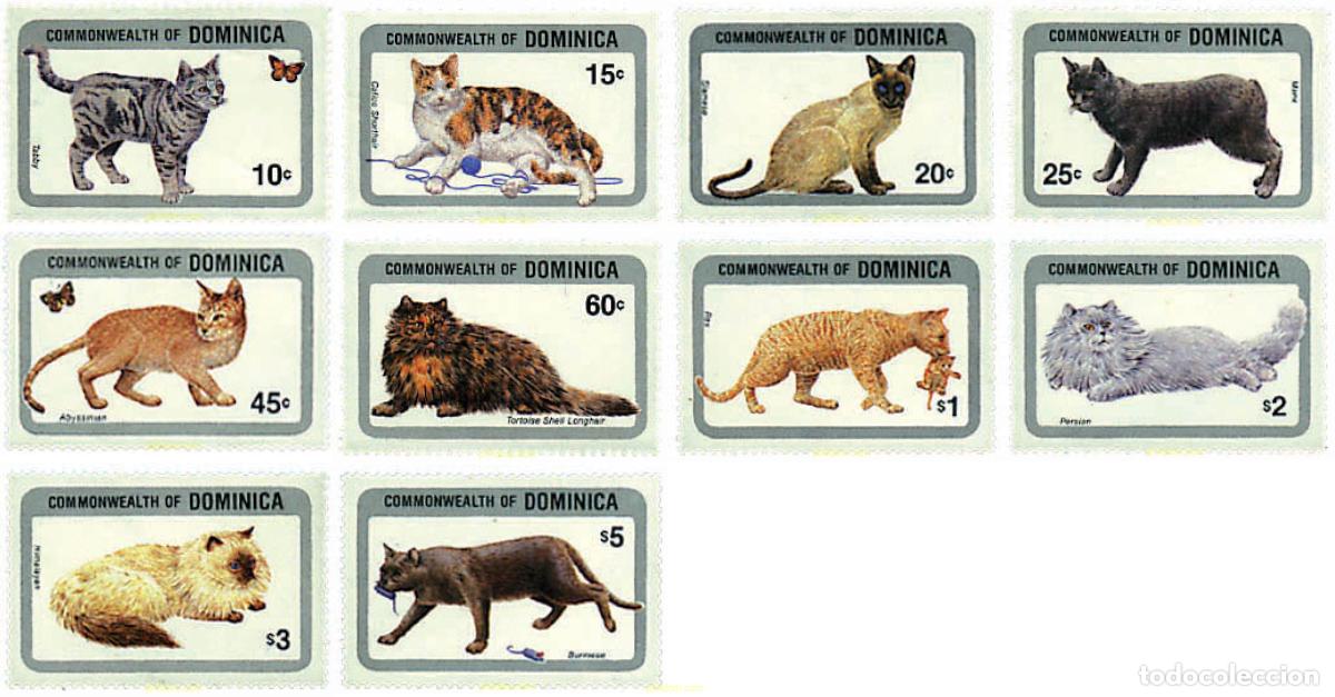 Sellos: 75844 MNH DOMINICA 1984 GATOS