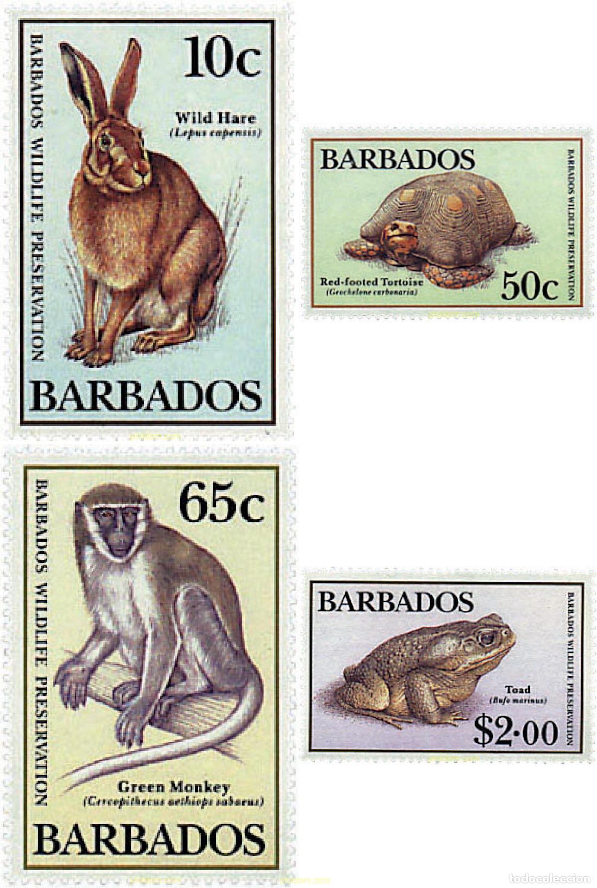 Sellos: 29491 MNH BARBADOS 1989 FAUNA PROTEGIDA