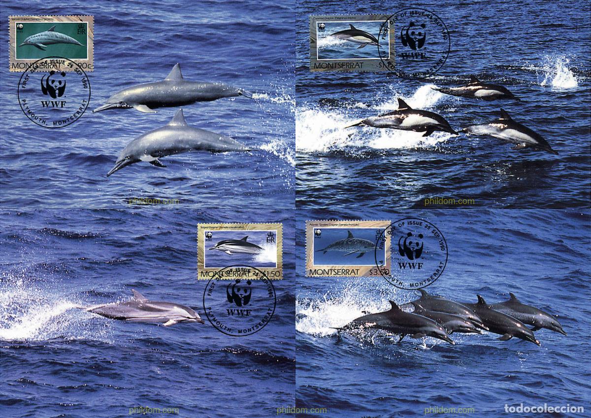 Sellos: 183326 MNH MONTSERRAT 1990 DELFINES
