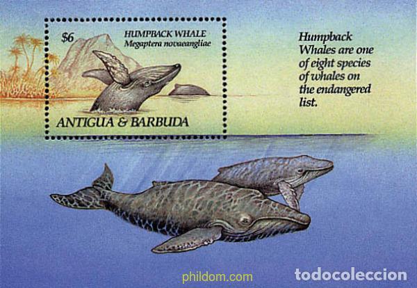 Sellos: 286571 MNH ANTIGUA Y BARBUDA 1993 ESPECIES EN PELIGRO DE EXTINCION
