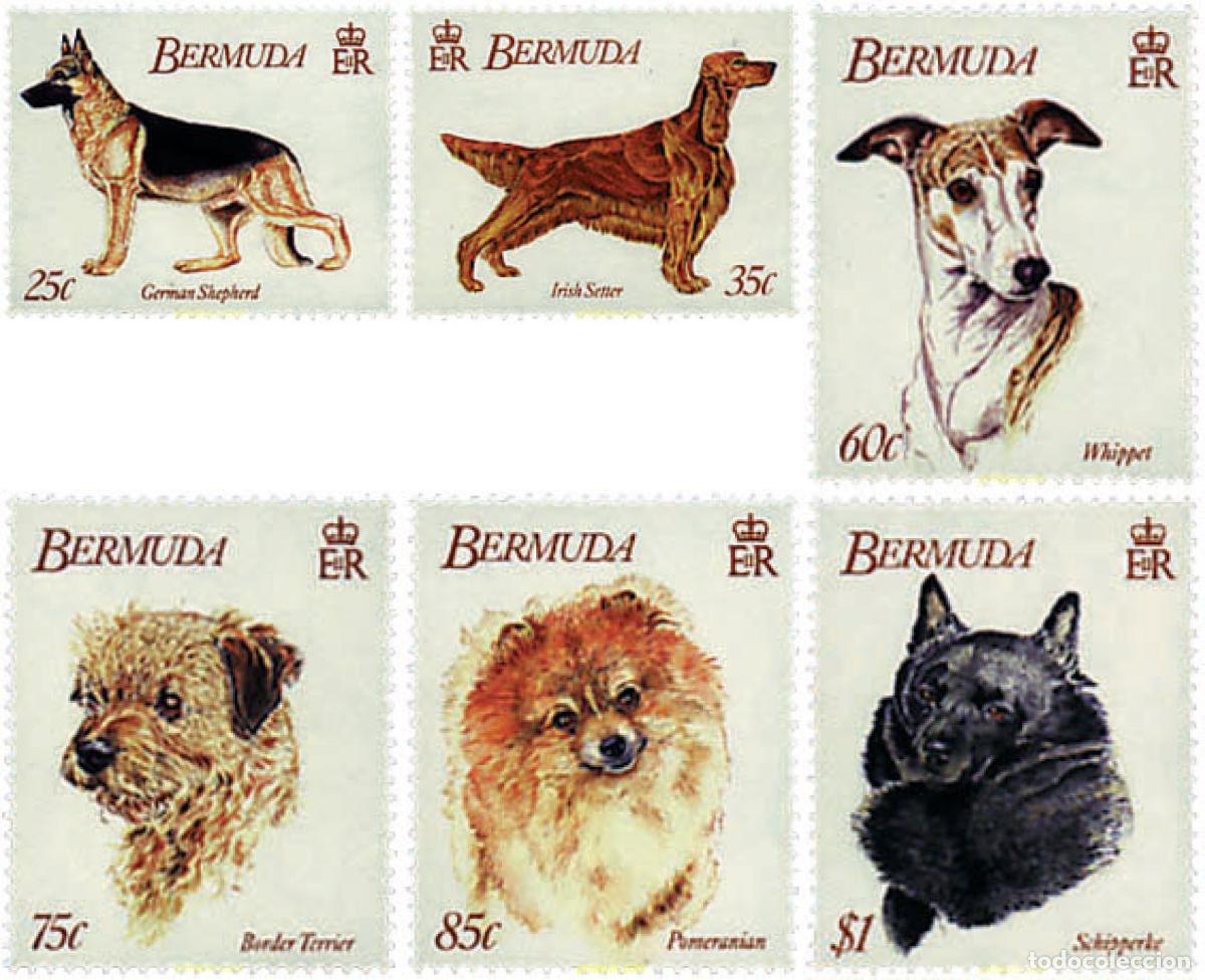 Sellos: 37354 MNH BERMUDAS 1992 7 CONGRESO MUNDIAL DE CLUBS CANINOS