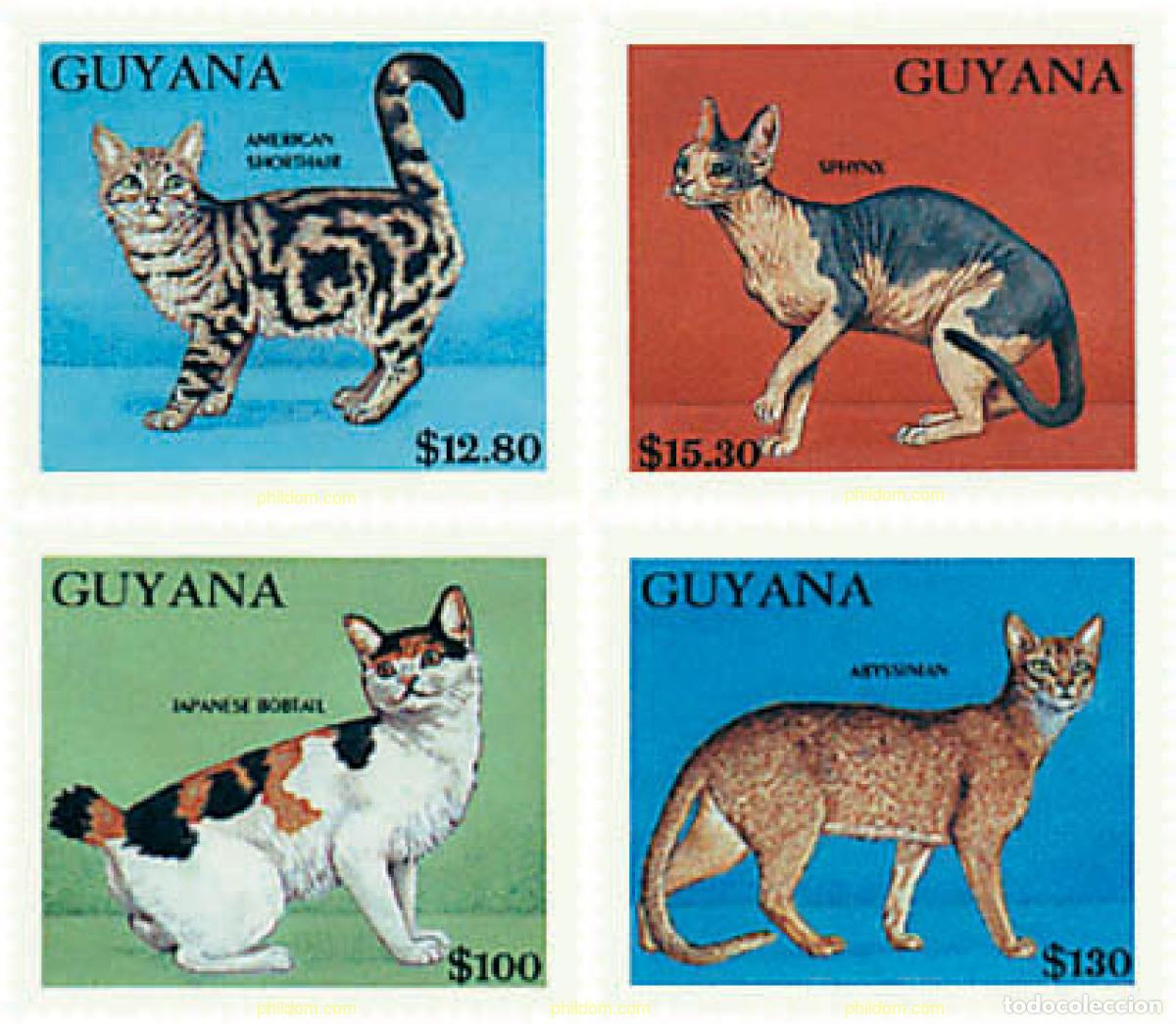 Sellos: 321387 MNH GUYANA 1992 EL MUNDO DE LOS GATOS