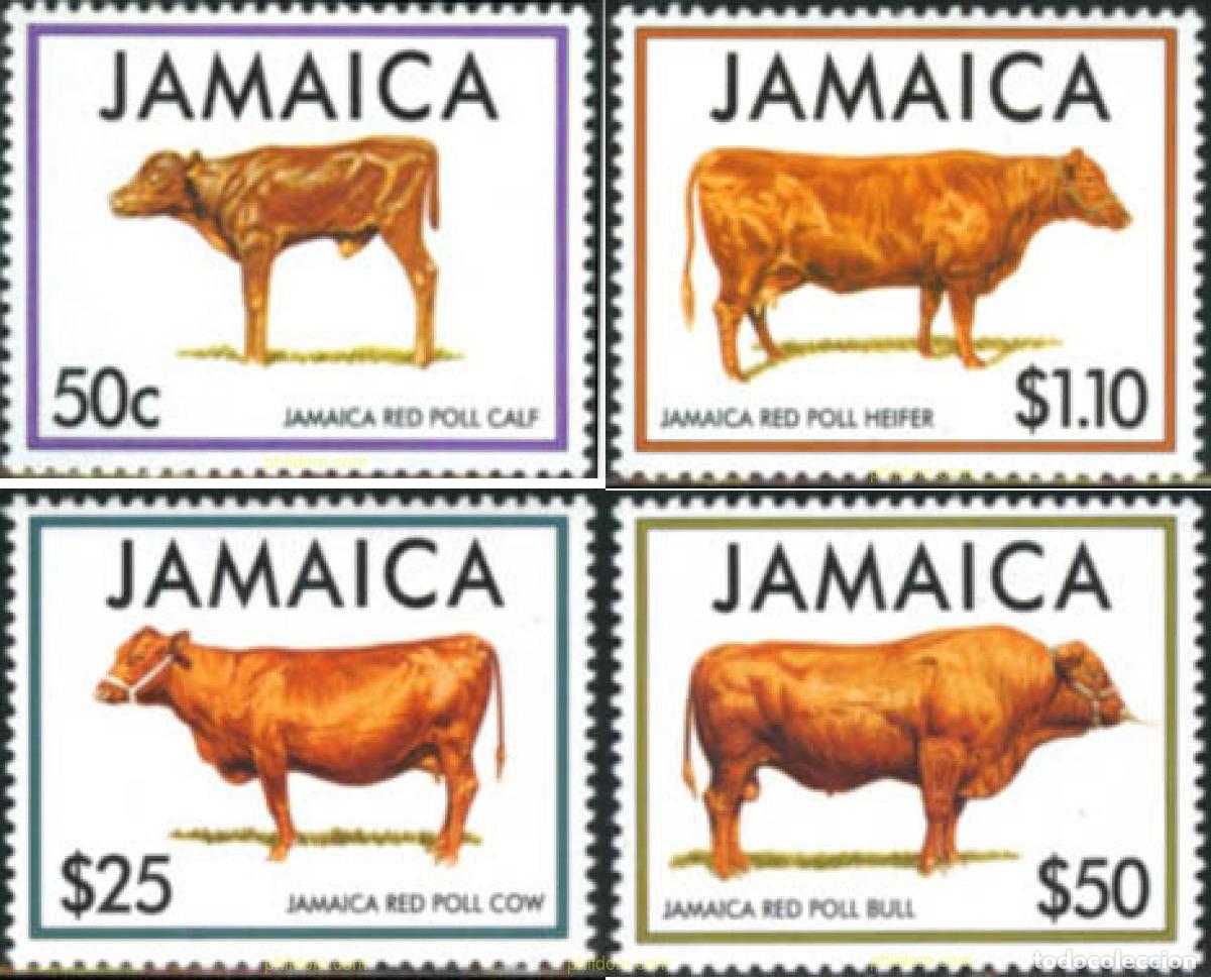 Sellos: 28785 MNH JAMAICA 1994 FAUNA. BOVINOS DE PELO ROJIZO