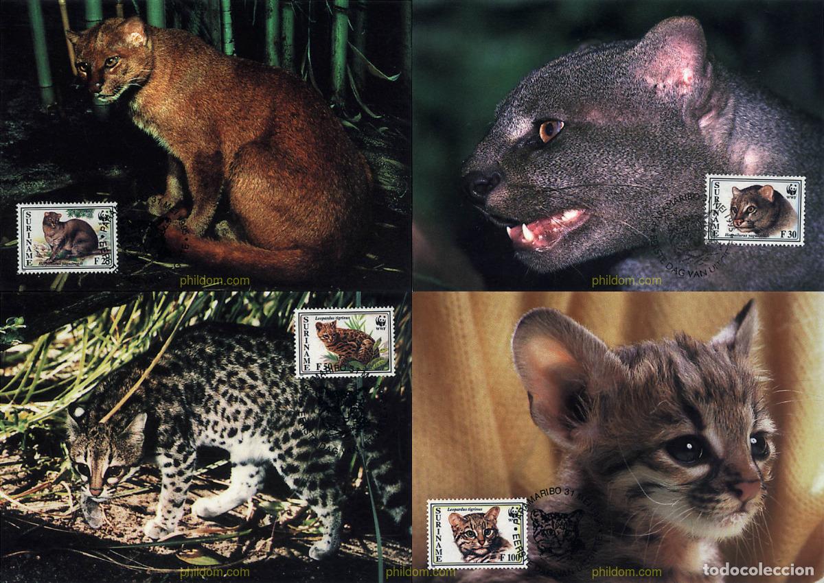 Sellos: 7293 MNH SURINAM 1995 YAGUARUNDI, GATO TIGRE