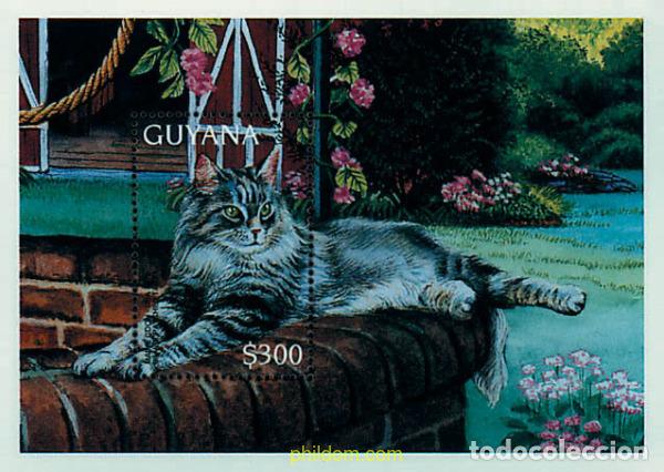 Sellos: 321464 MNH GUYANA 1996 GATOS