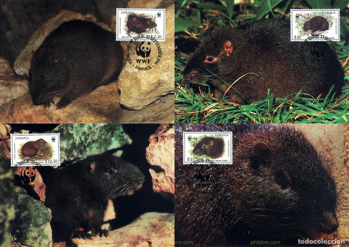 Sellos: 7423 MNH JAMAICA 1996 ESPECIES EN PELIGRO. LA HUTIA JAMAICANA