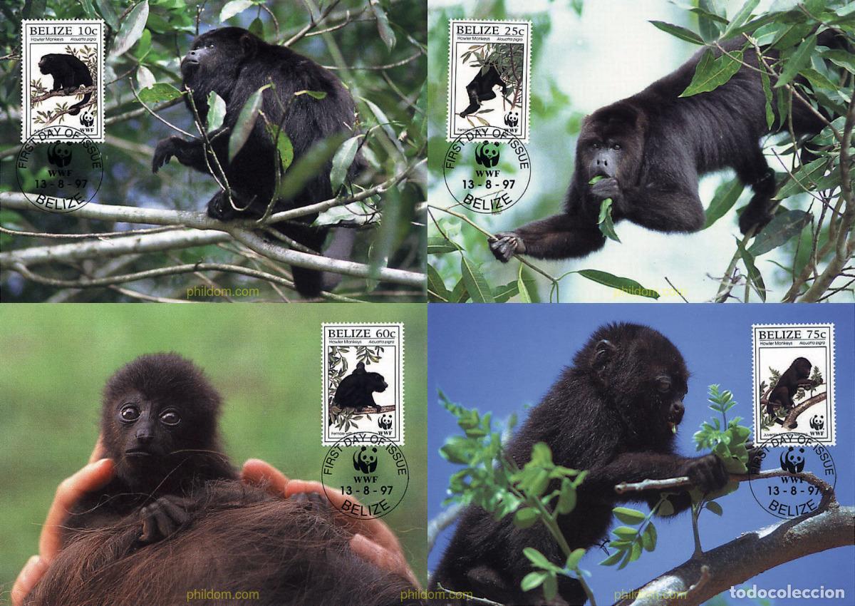 Sellos: 7434 MNH BELIZE 1997 MONO AULLADOR NEGRO