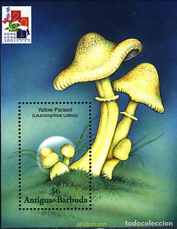 Sellos: 203392 MNH ANTIGUA Y BARBUDA 2001 SETAS