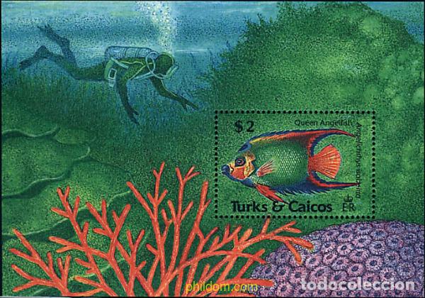 Sellos: 299295 MNH TURKS Y CAICOS 1990 FAUNA MARINA