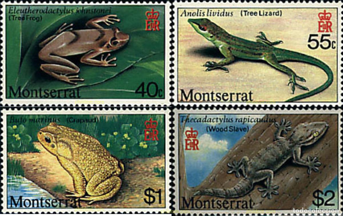 Briefmarken: 87175 MNH MONTSERRAT 1980 AMFIBIOS Y REPTILES