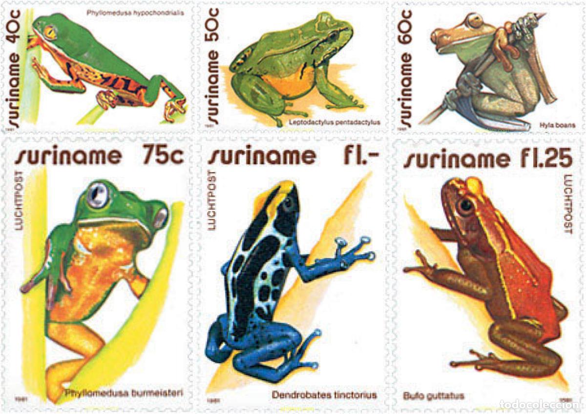 Sellos: 91251 MNH SURINAM 1981 RANAS - Foto 1