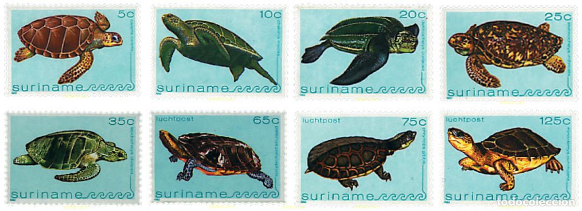 Sellos: 58776 MNH SURINAM 1982 TORTUGAS ACUATICAS
