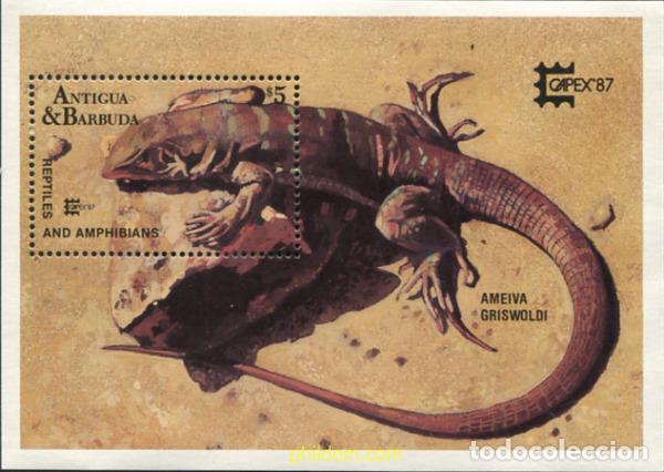 Sellos: 46814 MNH ANTIGUA Y BARBUDA 1987 CAPEX 87. EXPOSICION FILATELICA INTERNACIONAL
