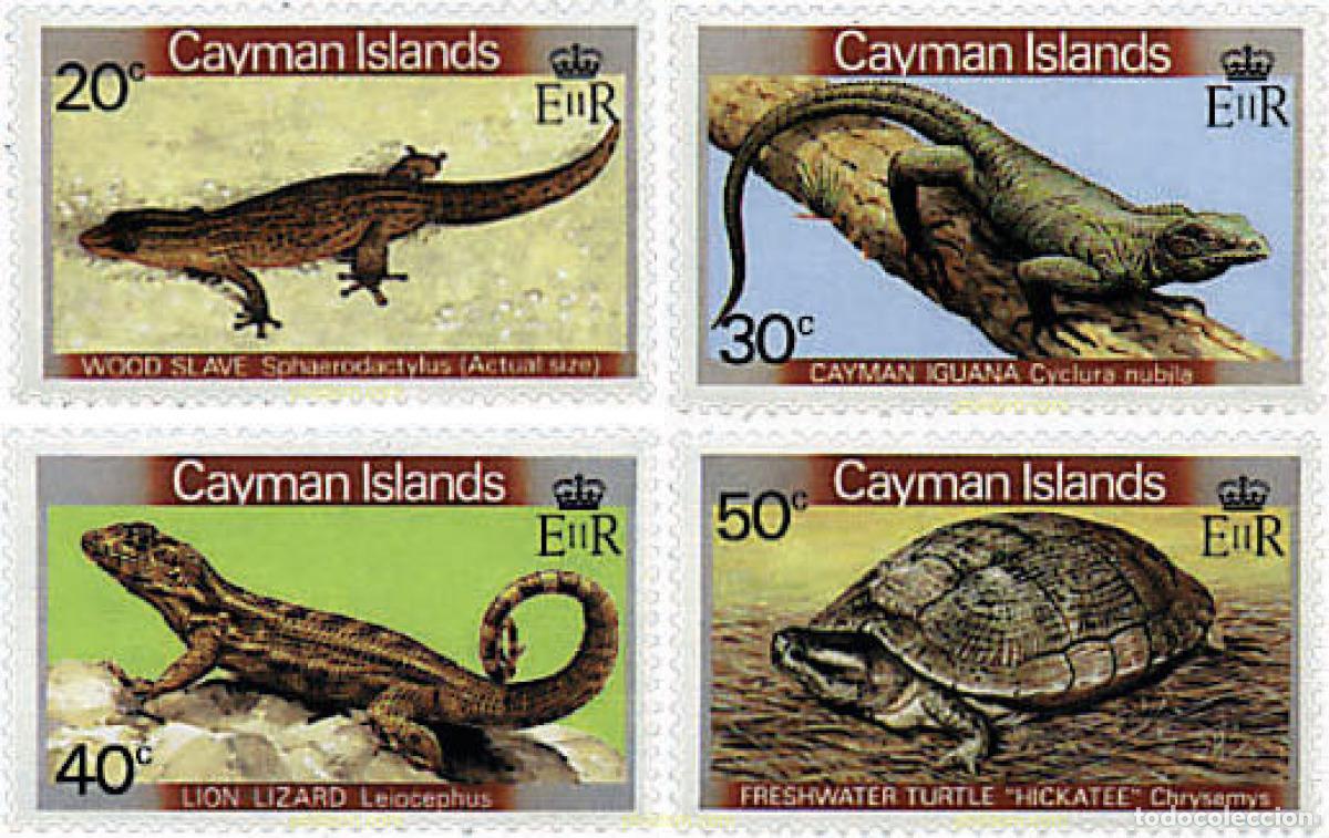 Sellos: 28272 MNH CAIMAN Islas 1981 FAUNA. REPTILES