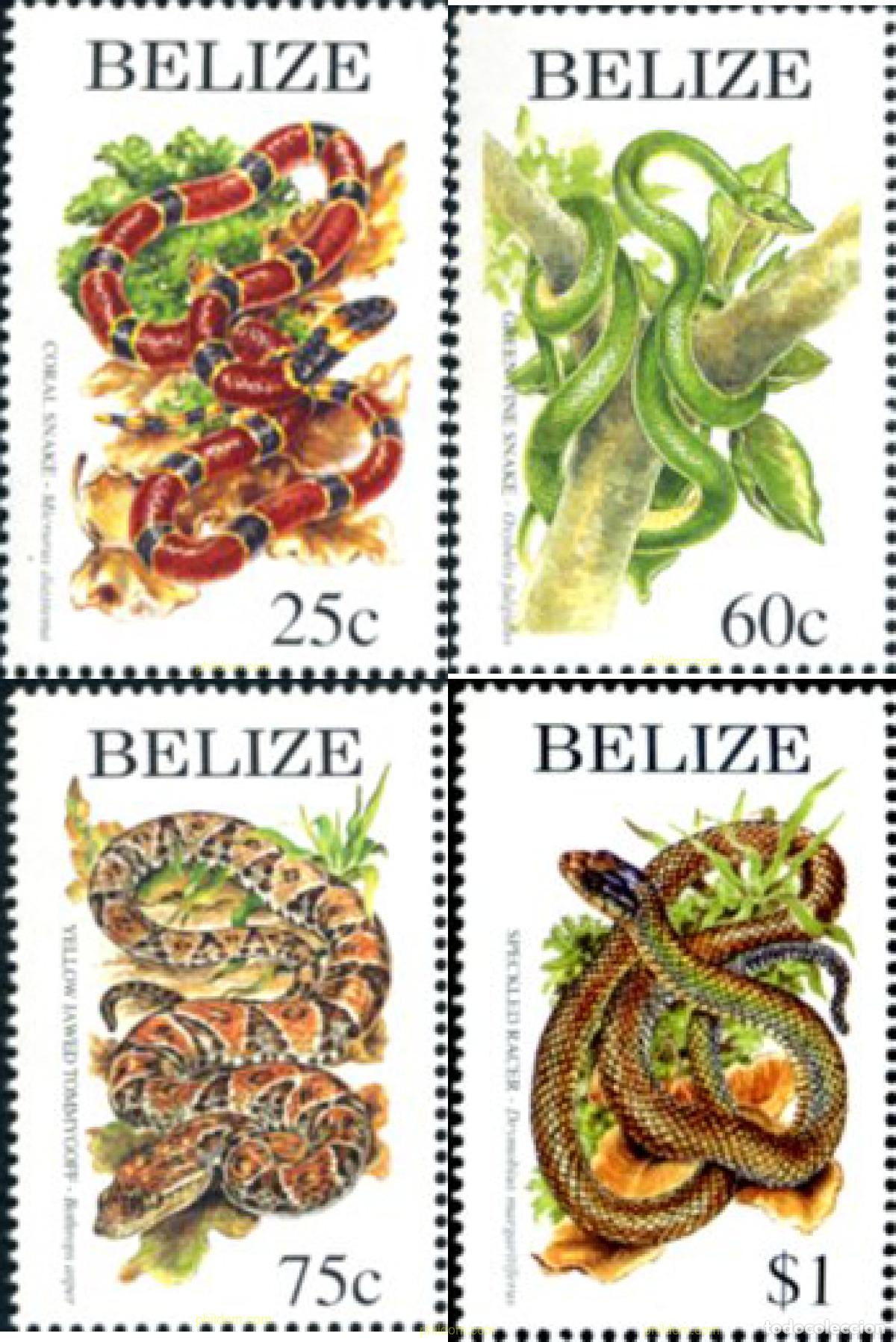 Sellos: 98655 MNH BELIZE 1997 SERPIENTES - Foto 1