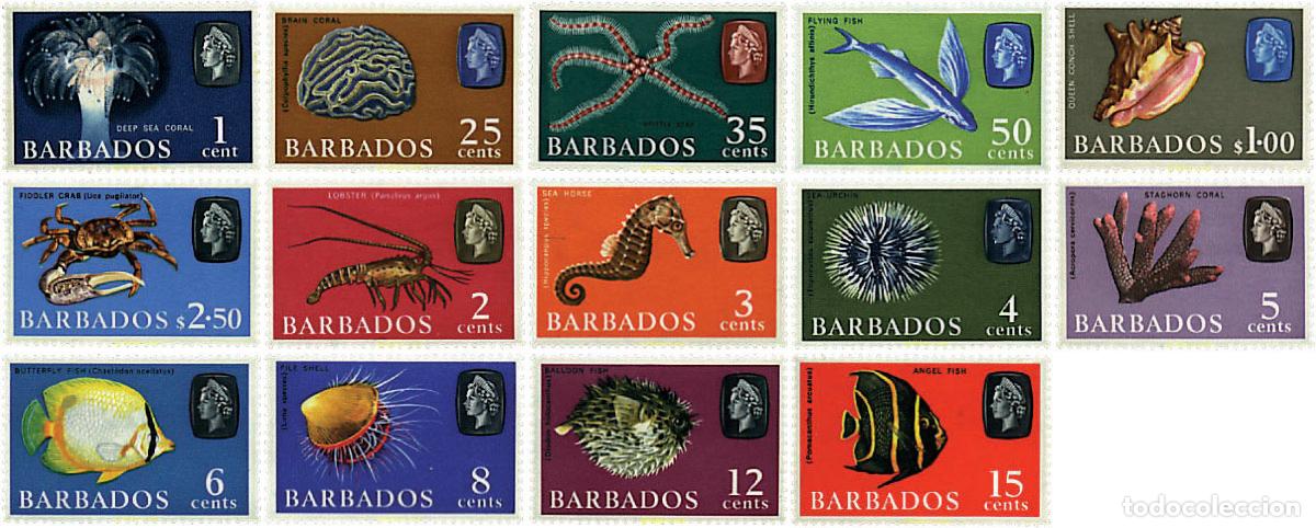 Sellos: 243975 HINGED BARBADOS 1965 FAUNA MARINA