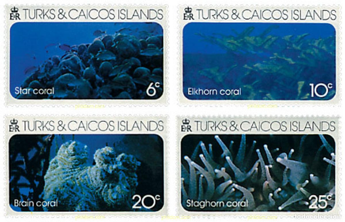 Sellos: 52446 MNH TURKS Y CAICOS 1975 CORALES