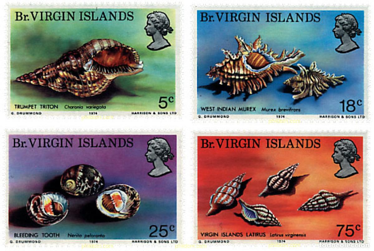 Selos: 51783 MNH VIRGENES BRITANICAS Islas 1974 CONCHAS