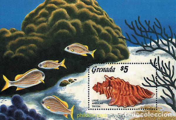Sellos: 89939 MNH GRANADA 1986 CONCHAS - Foto 1