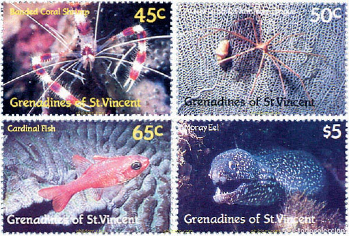 Sellos: 28450 MNH SAN VICENTE GRANADINAS 1987 FAUNA MARINA