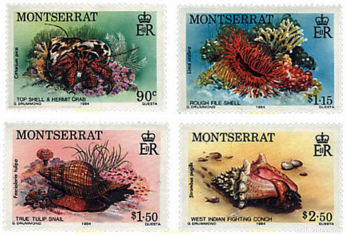 Sellos: 93513 MNH MONTSERRAT 1984 CONCHAS - Foto 1