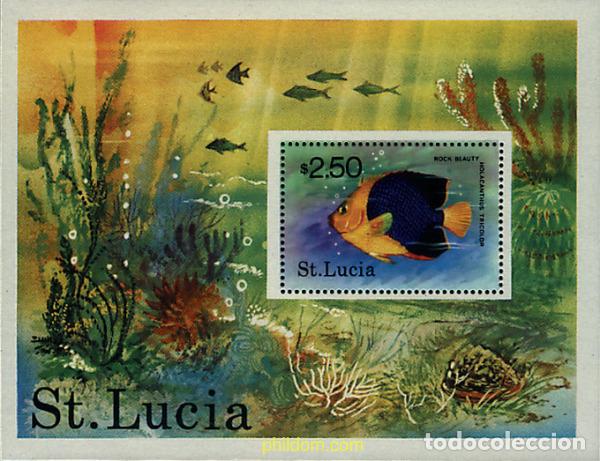 Sellos: 54564 MNH SANTA LUCIA 1978 PEZ - Foto 1