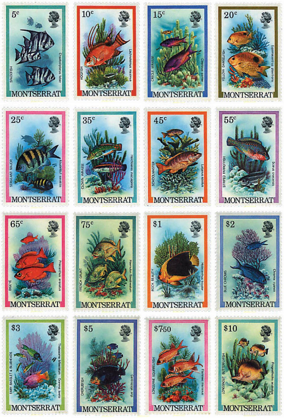 Sellos: 28466 MNH MONTSERRAT 1981 PECES