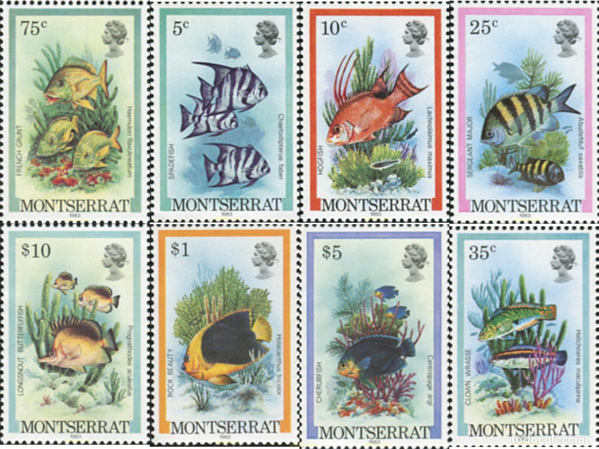 Sellos: 155583 MNH MONTSERRAT 1981 PECES - Foto 1